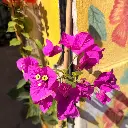 santa rita 2.webp