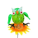 buho g.webp