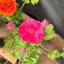 m 3.webp