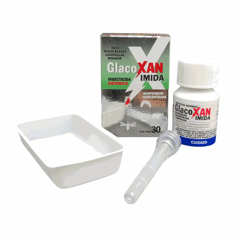 IMIDA2.webp
