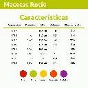 MACETA ROCIO 2.webp