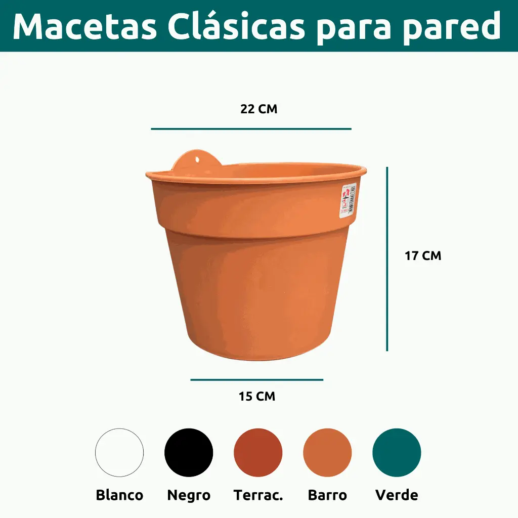 CLASICA PPARED 22.webp