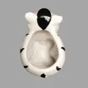 cebra2.webp