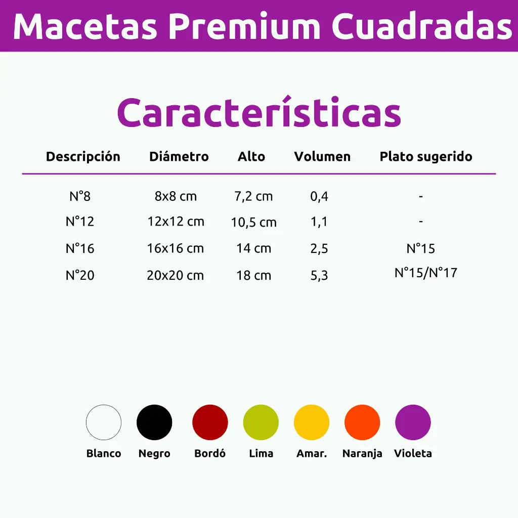 PREM CUADRADA.webp