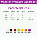 PREM CUADRADA.webp