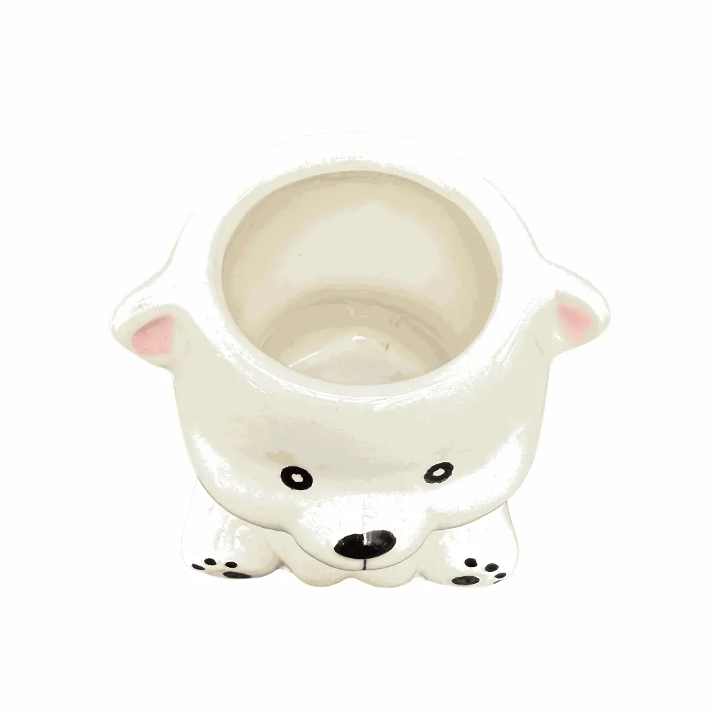 oso 2.webp