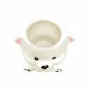 oso 2.webp
