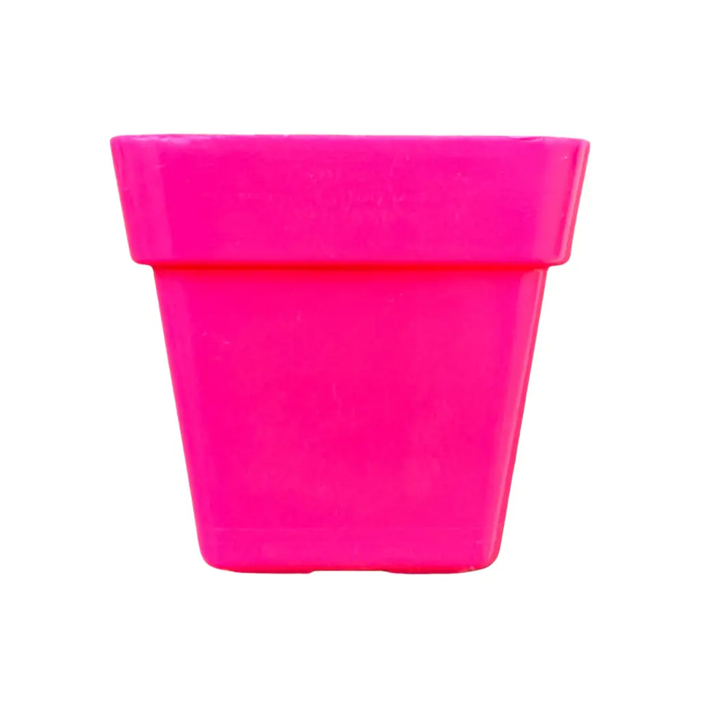 Maceta para Cactus Cuadrada N°8