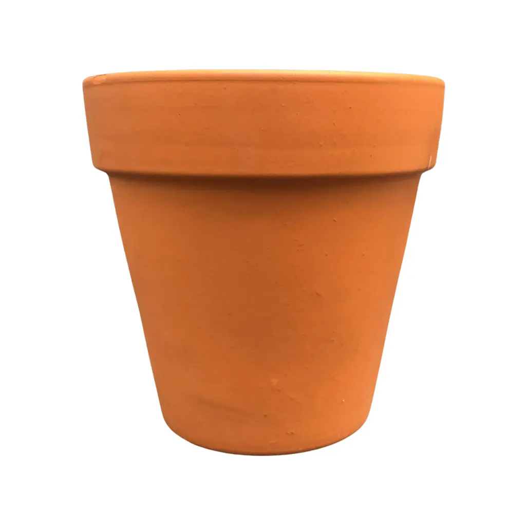 Maceta Barro Común N°12 Blum