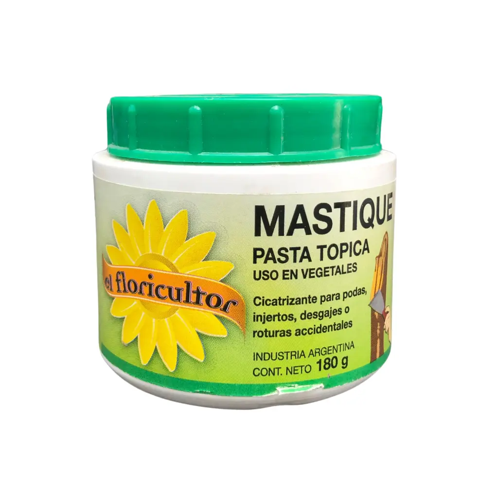 Mastique Pasta Topica 180gr