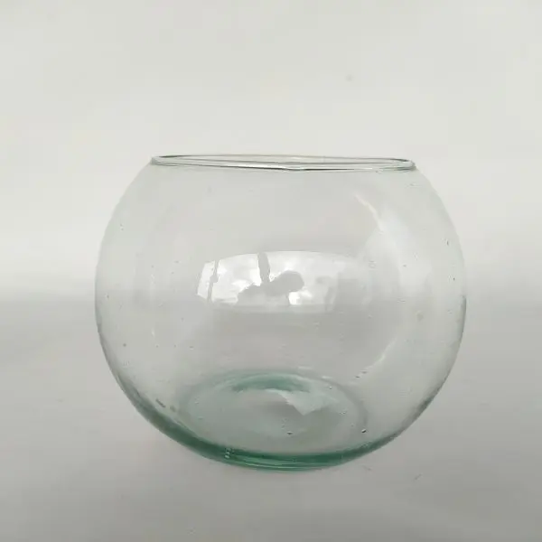 Pecera N°6