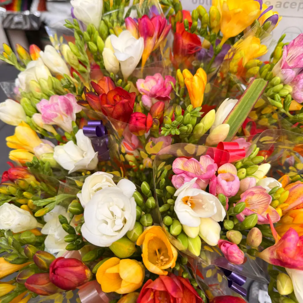 Ramo de Fresias