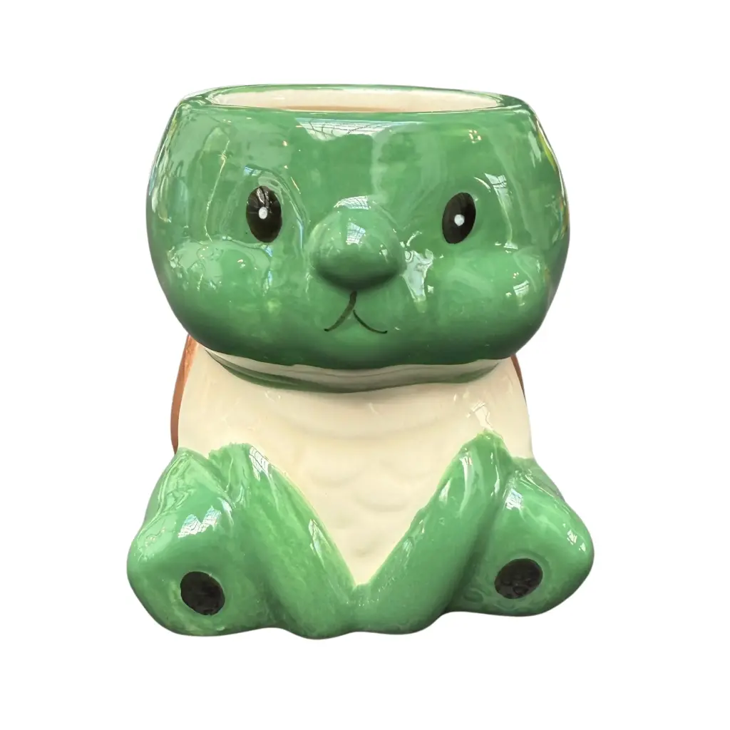 Maceta cerámica tortuga