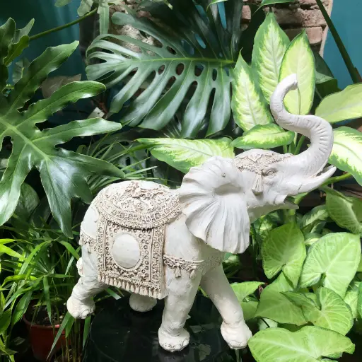 Elefante Hindú