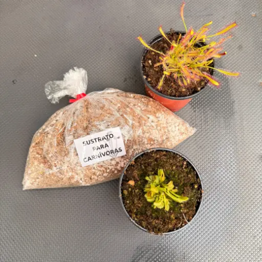 Sustrato para plantas Carnívoras 1dm