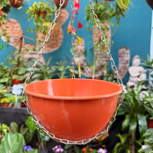 Cadena con aro para Bols N°21