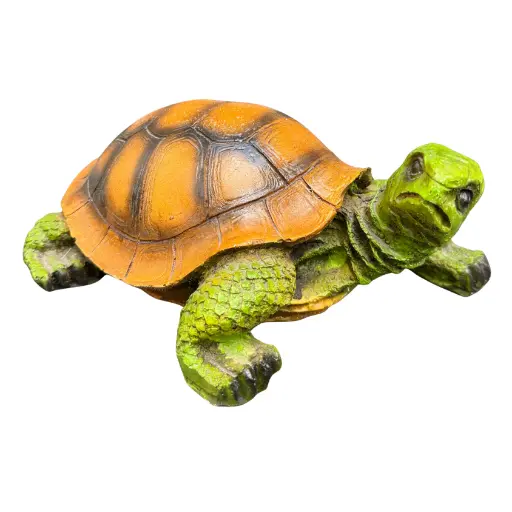 Tortugas medianas 25cm