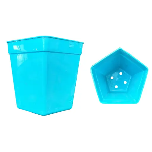 Maceta para Cactus Pentagonal N°8