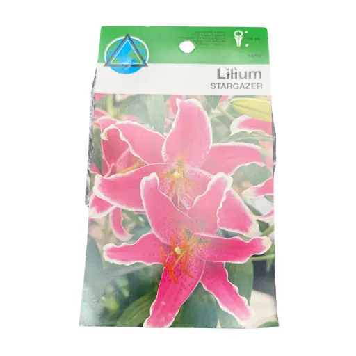 Bulbos de Lilium