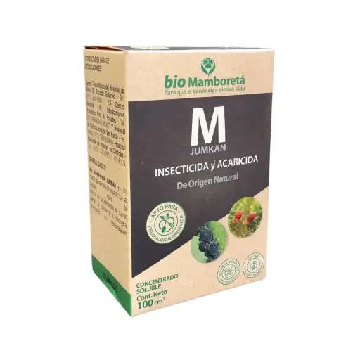 Mamboretá M JUMKAN 100cc